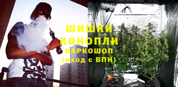 кокс Арсеньев