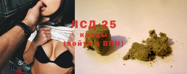 шишки Армянск