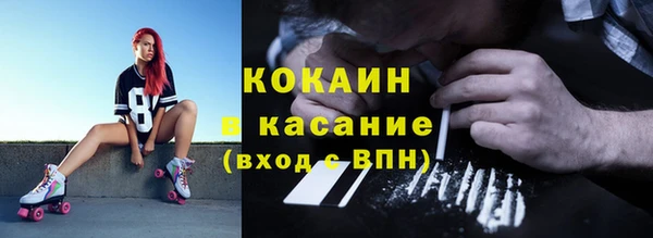 шишки Армянск