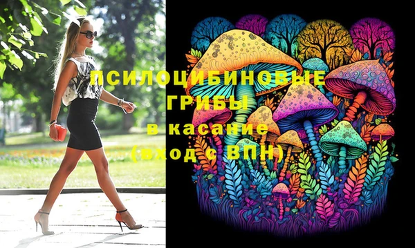 шишки Армянск
