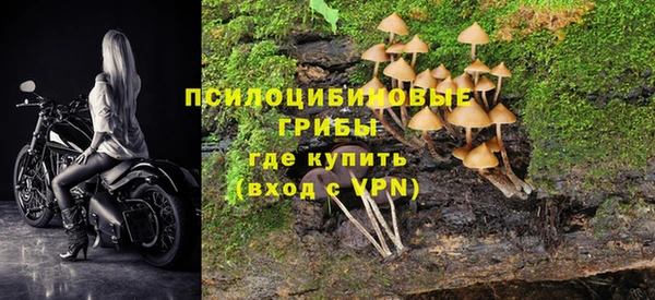 кокс Арсеньев