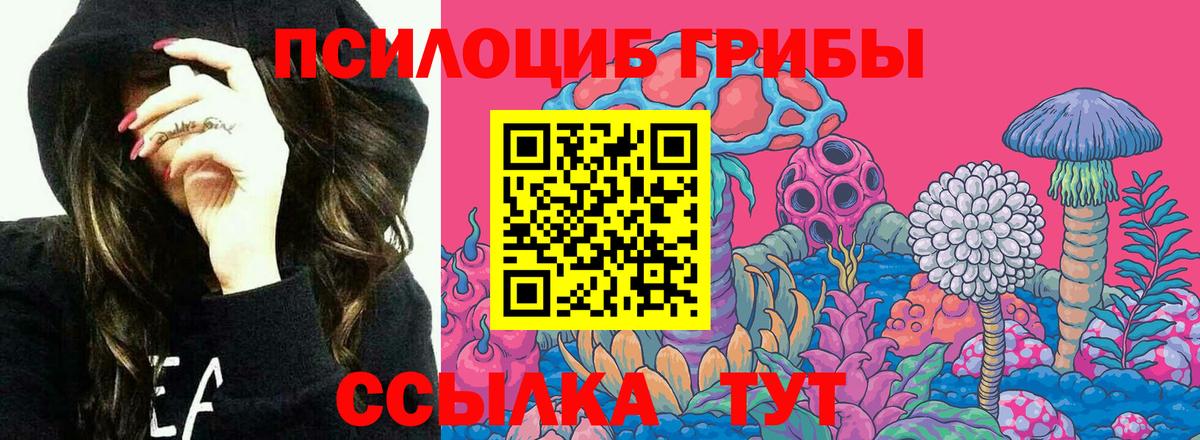 Асино  Галлюциногенные грибы мицелий  Вход с VPN 