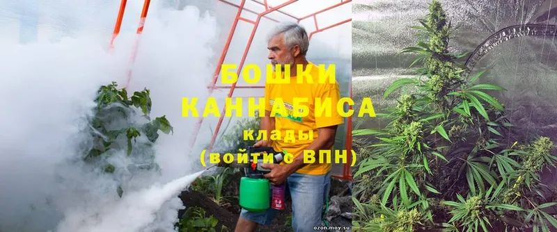 Канабис Ganja  Асино 